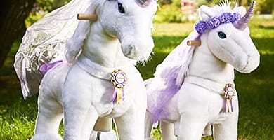Ponycycle premia k